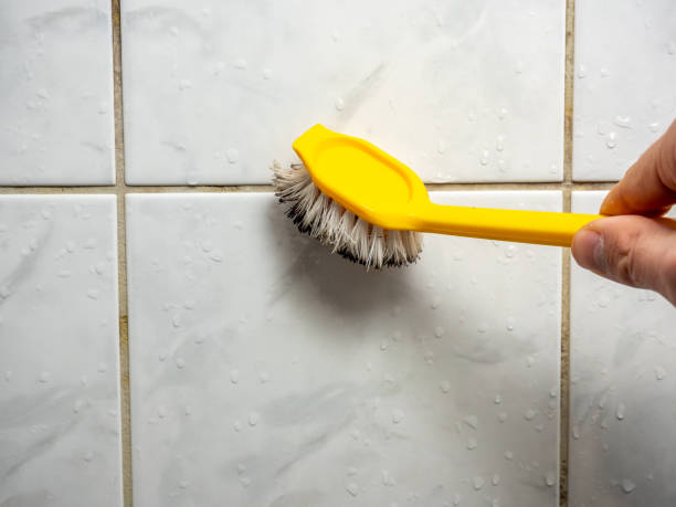 Best Preventive Mold Services in Byram Center, NJ
